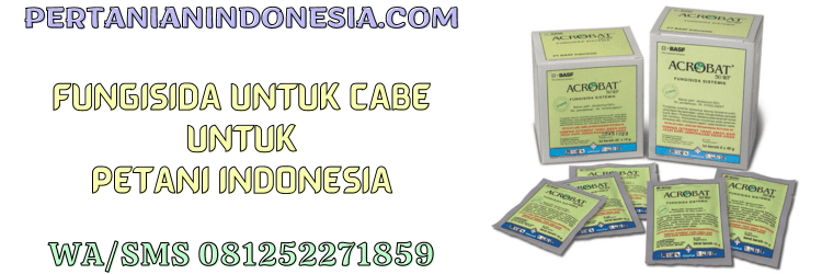 fungisida,untuk,cabe,cabai,pestisida,pertanian indonesia